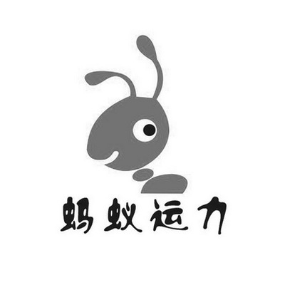 天津蚂蚁运力科技